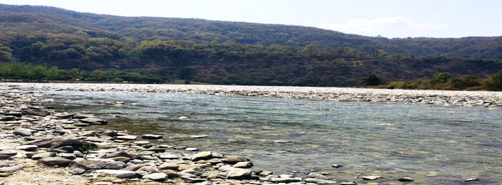 2528/lebua - Jim Corbett National Park 21.jpg